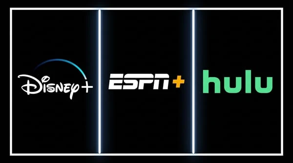 Disney+ Subscription